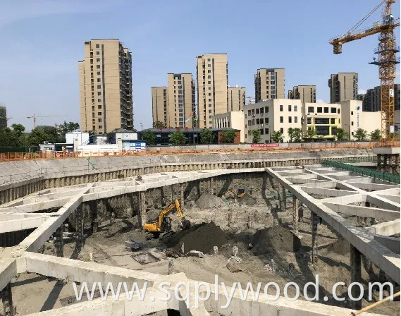 Shuttering/Marine Plywood, Construction Waterproof Film Faced Plywood for Building